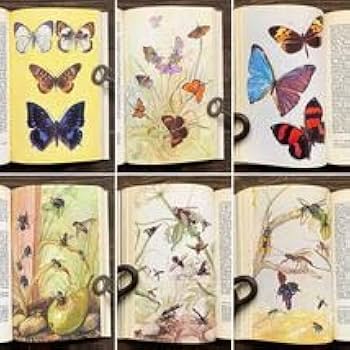 博物図鑑1958年（ドイツ）192枚の昆虫図版ボタニカルアート Deutschlands Fauna in abbildungen nach der natur mit